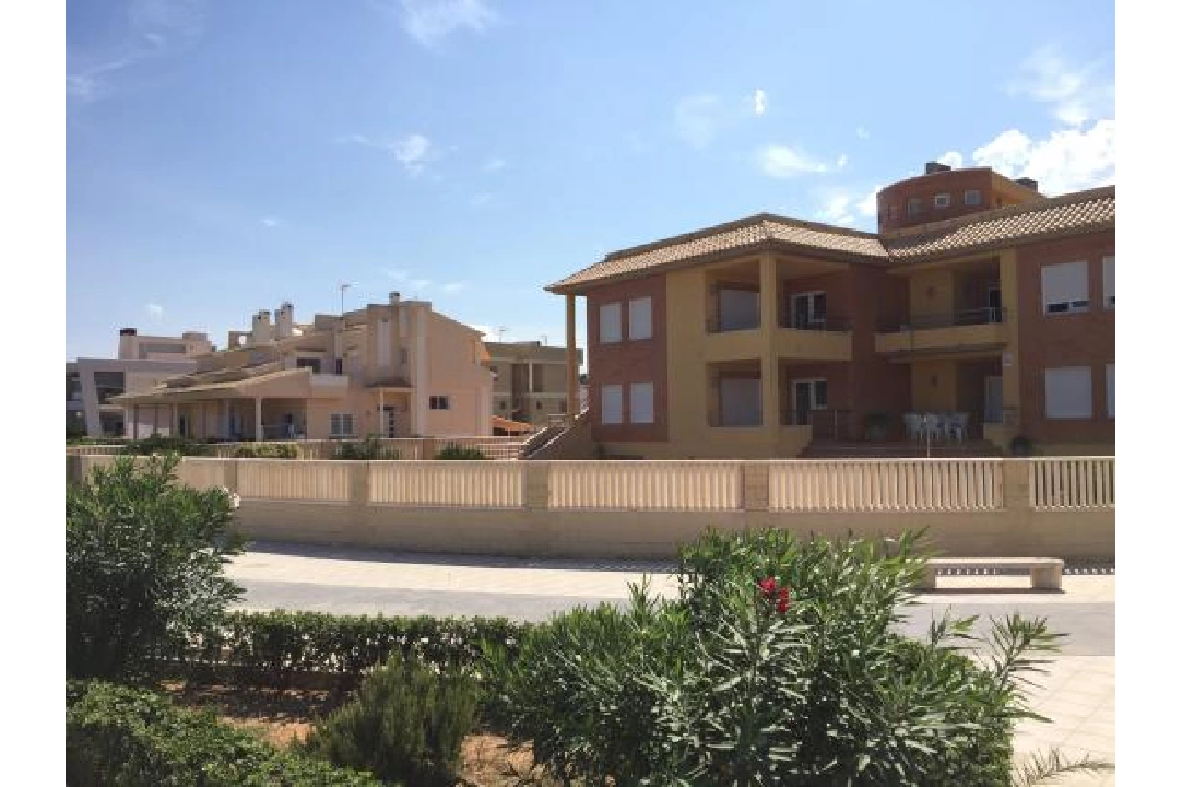residential ground in Oliva for sale, condition modernized, air-condition, plot area 488 m², swimming-pool, ref.: 2-4416-27