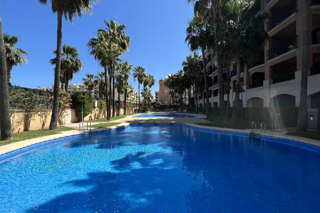 apartment in Denia(Centro) for holiday rental, built area 84 m², condition neat, + KLIMA, air-condition, 1 bedroom, 2 bathroom, swimming-pool, ref.: T-1318-4