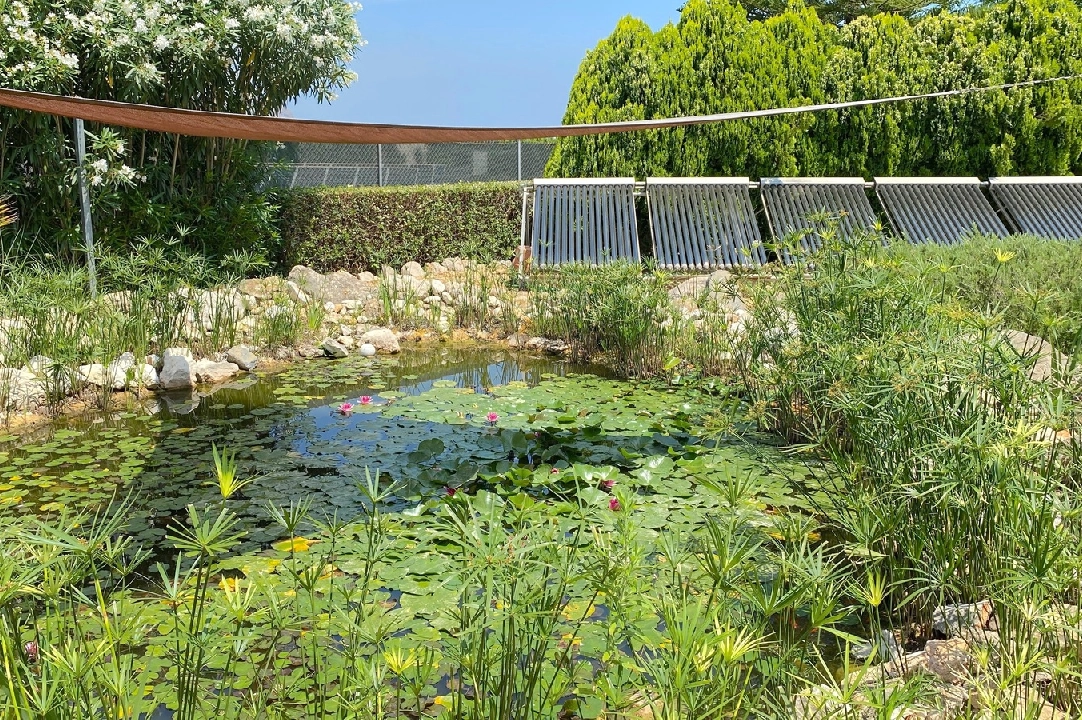 country house in Denia for sale, built area 250 m², year built 2003, condition neat, + underfloor heating, air-condition, plot area 10700 m², 4 bedroom, 3 bathroom, swimming-pool, ref.: AS-1521-29