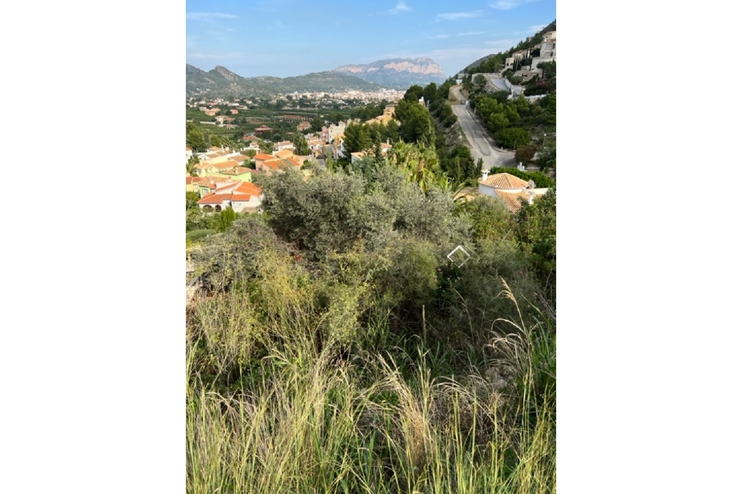 residential ground in Pedreguer(Parcella 246) for sale, plot area 800 m², ref.: RG-0121-5