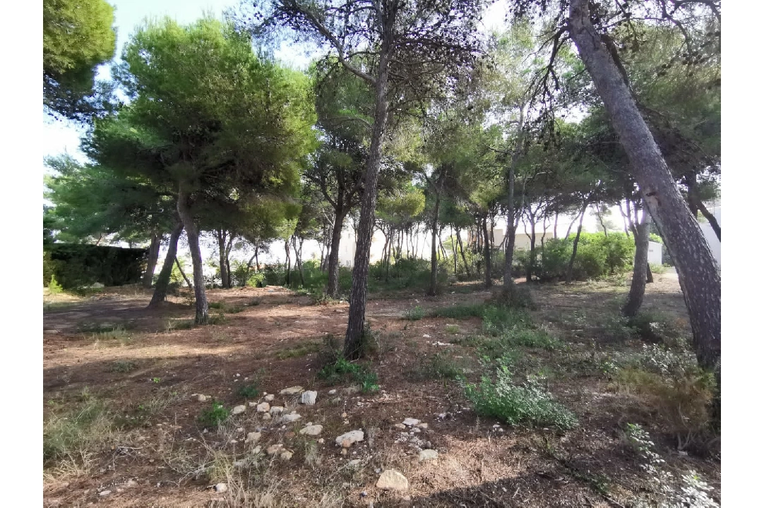 residential ground in Javea for sale, built area 1006 m², ref.: BS-4548789-2