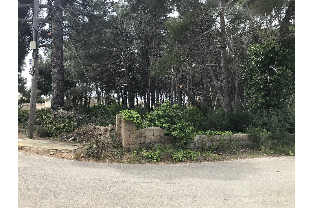 residential ground in Javea for sale, built area 3514 m², ref.: BS-5275788-2