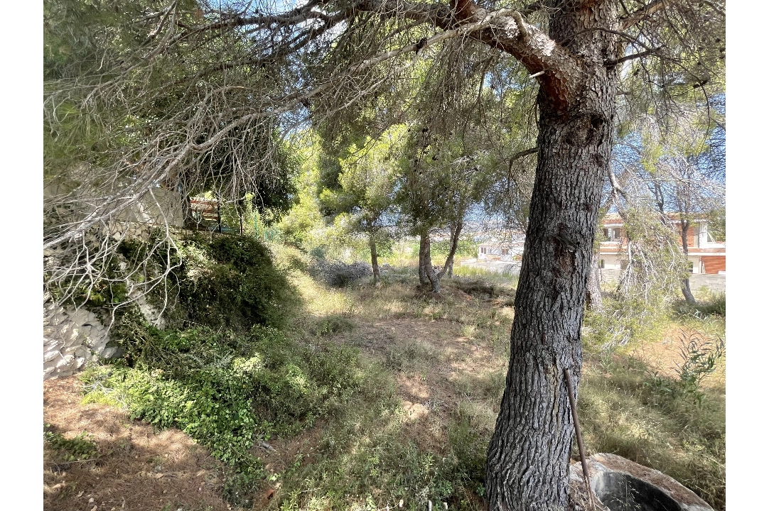residential ground in Javea for sale, built area 1642 m², ref.: BS-5923950-6