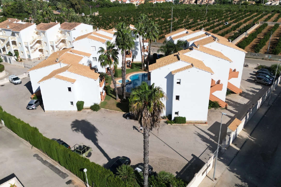 terraced house in Denia(Las Marinas) for holiday rental, built area 98 m², year built 2001, condition neat, + KLIMA, air-condition, 2 bedroom, 2 bathroom, swimming-pool, ref.: T-0222-24