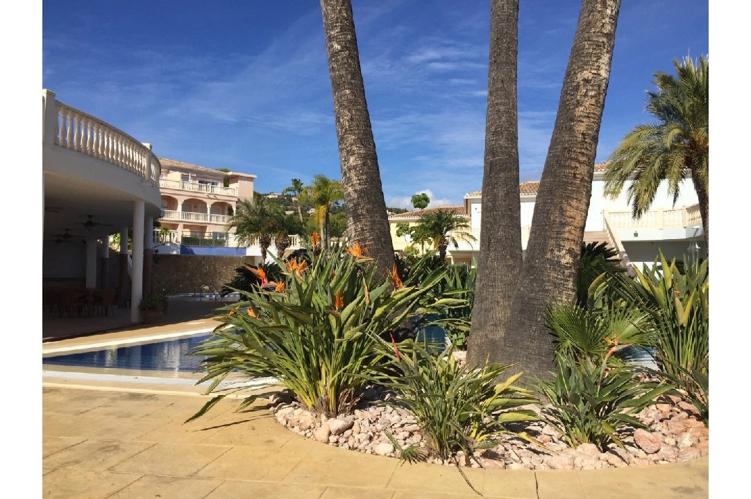 apartment in Benissa costa for sale, built area 116 m², air-condition, 2 bedroom, 1 bathroom, swimming-pool, ref.: NL-NLD1341-7