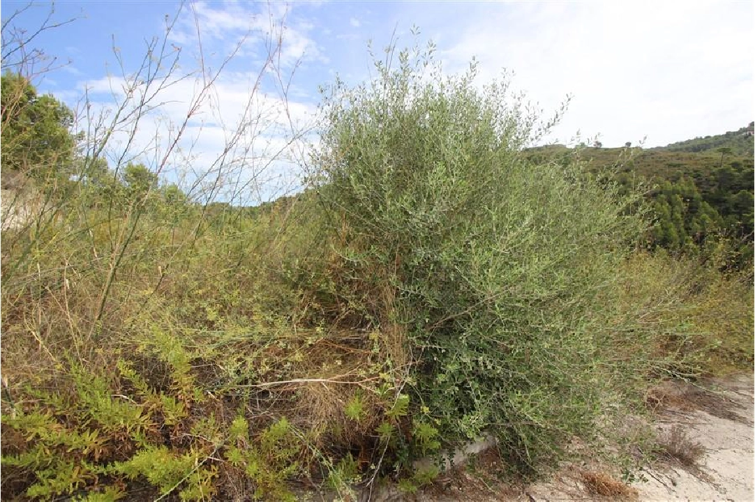 residential ground in Calpe for sale, plot area 990 m², ref.: COB-3264-4