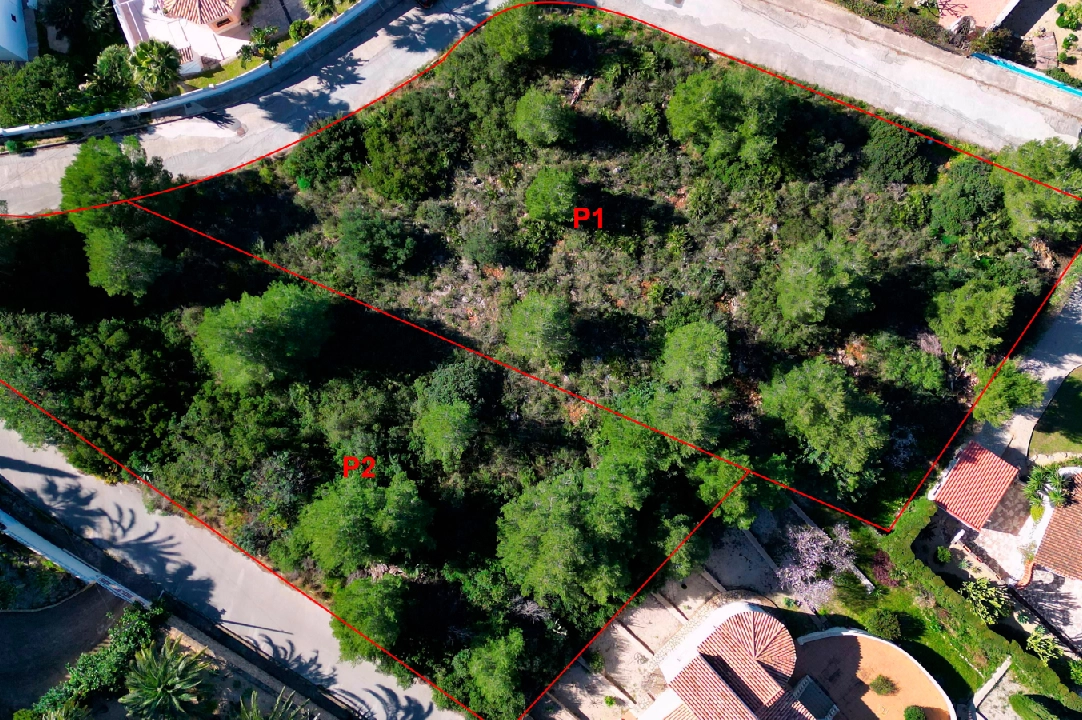 residential ground in Denia for sale, plot area 2400 m², ref.: AS-0323-4
