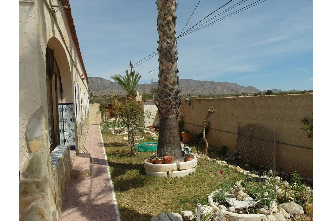 country house in Albatera for sale, built area 193 m², condition neat, plot area 4311 m², 5 bedroom, 2 bathroom, ref.: HA-AA-109-48