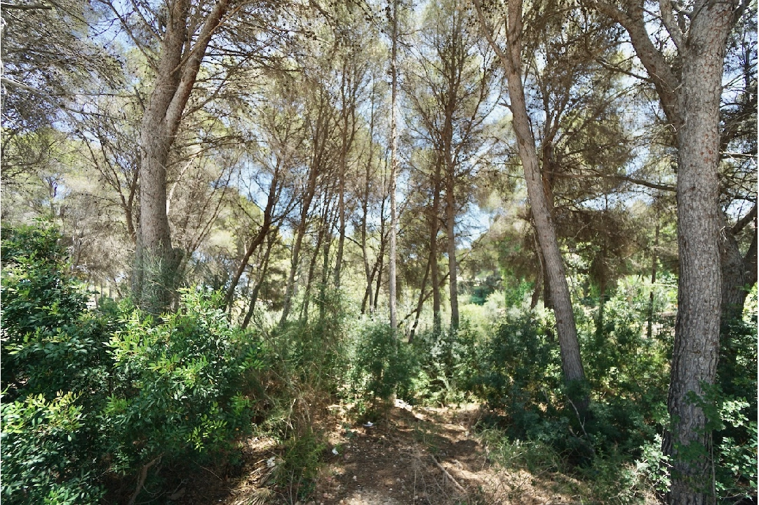 residential ground in Moraira for sale, plot area 4473 m², swimming-pool, ref.: CA-G-1633-AMB-3