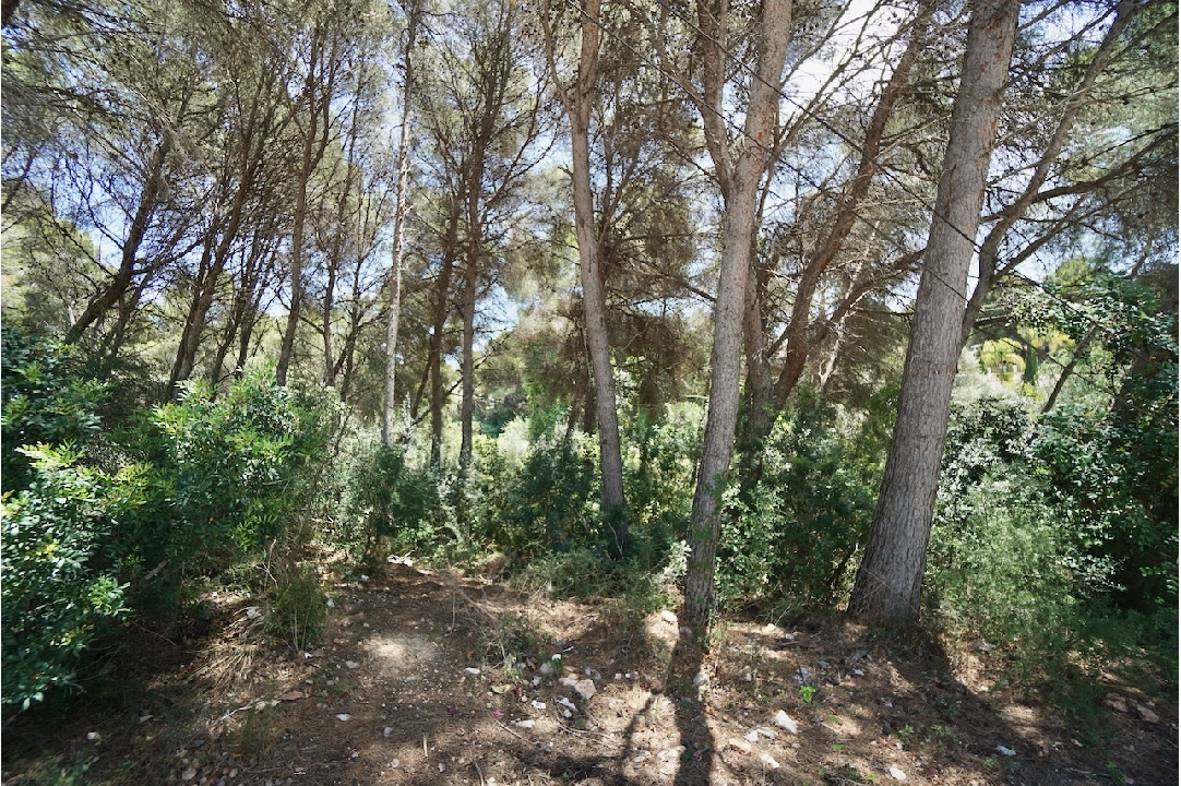 residential ground in Moraira for sale, plot area 4473 m², swimming-pool, ref.: CA-G-1633-AMB-4