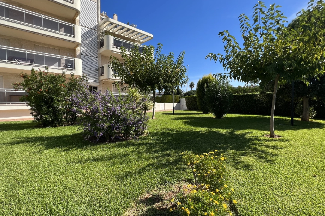 apartment in Denia(Las Marinas) for sale, built area 81 m², year built 2006, condition neat, + central heating, air-condition, 1 bedroom, swimming-pool, ref.: SC-K0923-24