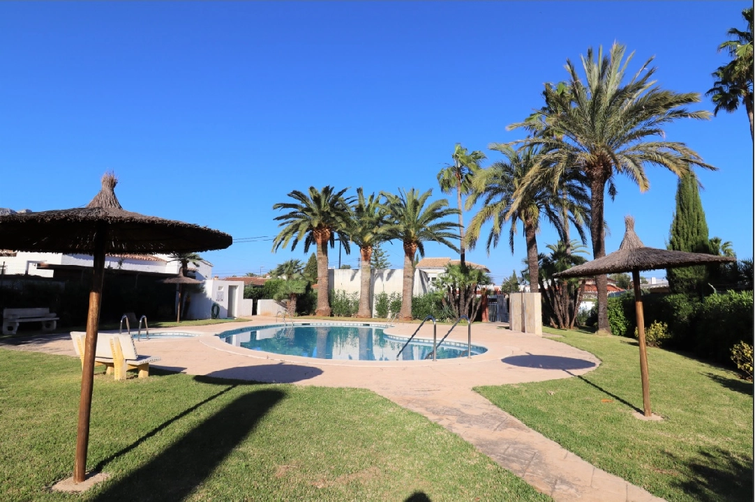 villa in Els Poblets for sale, built area 100 m², year built 1979, air-condition, plot area 336 m², 3 bedroom, 1 bathroom, swimming-pool, ref.: PS-PS23024-5