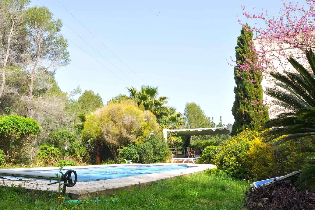 villa in Pedreguer(La Sella) for sale, built area 525 m², plot area 5233 m², 5 bedroom, 5 bathroom, ref.: BP-8165PED-8